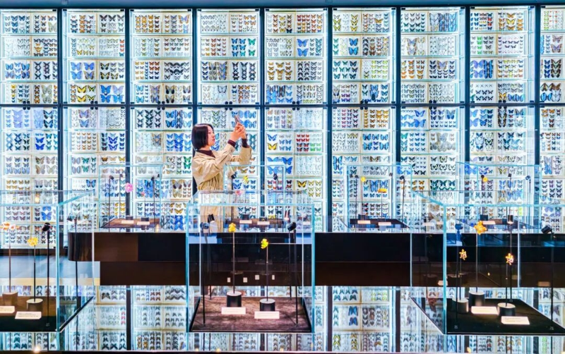 内容800 (2).jpg 内容800 (2).jpg