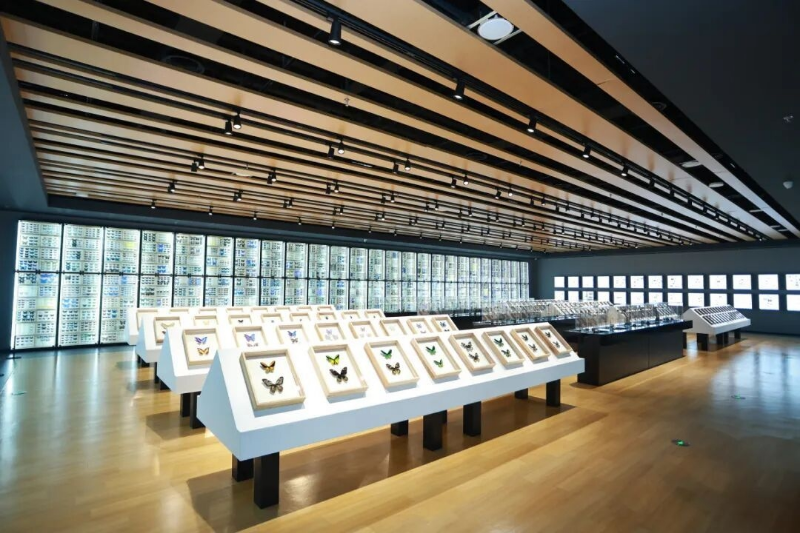 内容800.jpg 内容800.jpg