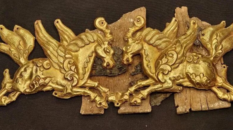 图片6.jpg 图片6.jpg