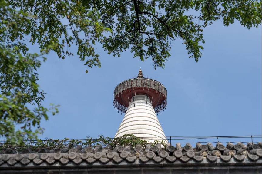 图片 1.png
