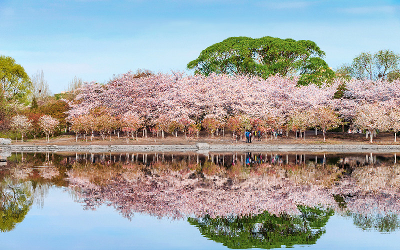 800-vcg.jpg 800-vcg.jpg