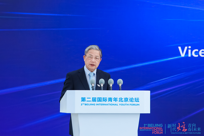 3.中国公共外交协会副会长胡正跃_副本.png