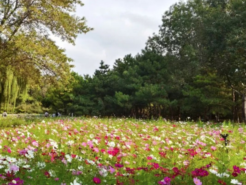 奥森.jpg
