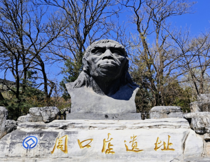 0b09cd866c163522e5a1435589f8eda9.jpg 0b09cd866c163522e5a1435589f8eda9.jpg