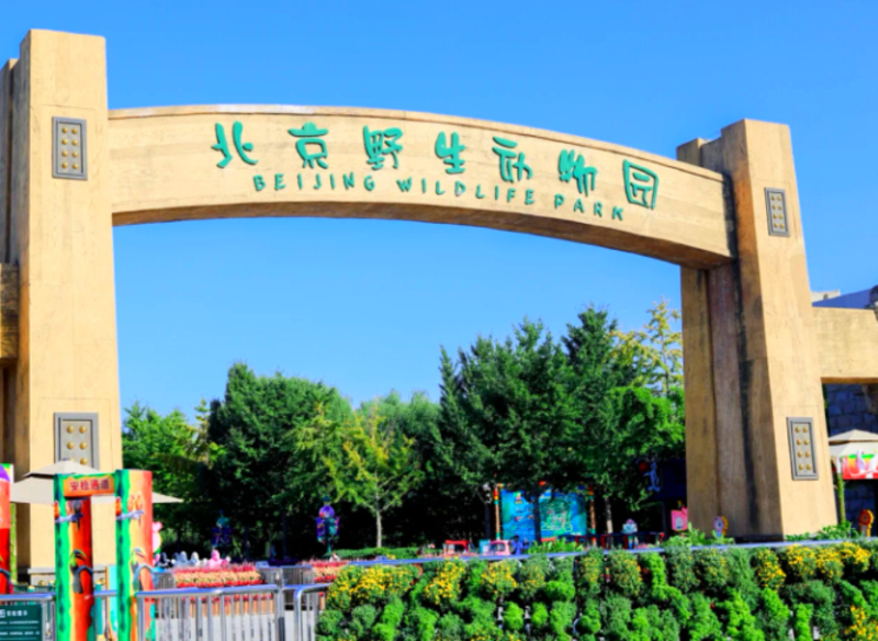 bf21ff5fed35a6f5bca2f14a83578932.jpg bf21ff5fed35a6f5bca2f14a83578932.jpg