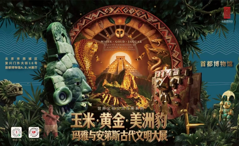 正文800.jpg