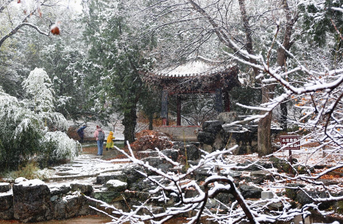 微信图片_20201123105719.jpg 微信图片_20201123105719.jpg