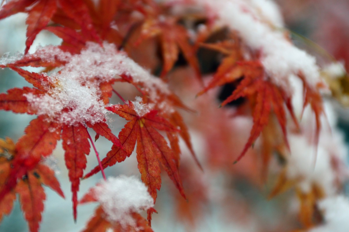 微信图片_20201123105658.jpg 微信图片_20201123105658.jpg