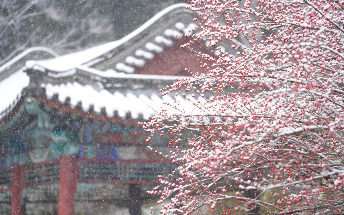 微信图片_20201123105704.jpg 微信图片_20201123105704.jpg