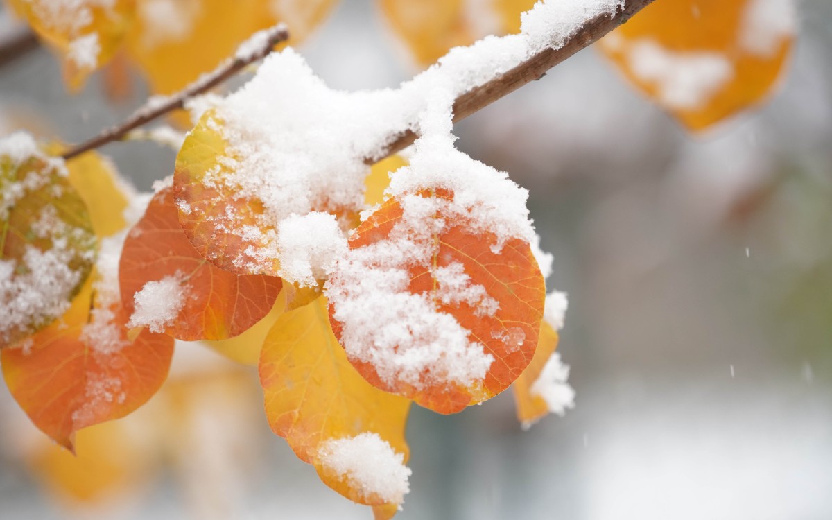 微信图片_20201123105709.jpg 微信图片_20201123105709.jpg