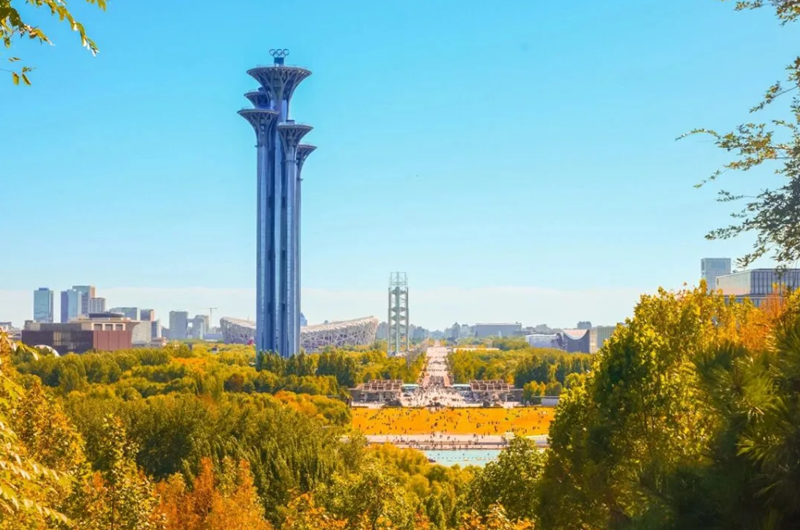 内容3.png 内容3.png