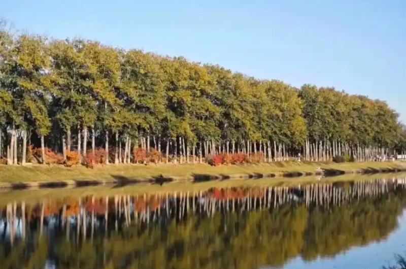 31.运潮减河  北京晚报 800.jpg