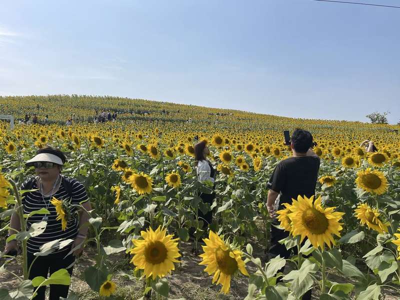 内容页.jpg 内容页.jpg