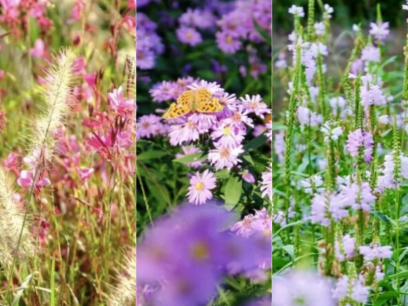 未命名_副本.jpg 未命名_副本.jpg