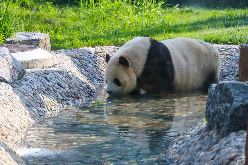 图片1.png 图片1.png