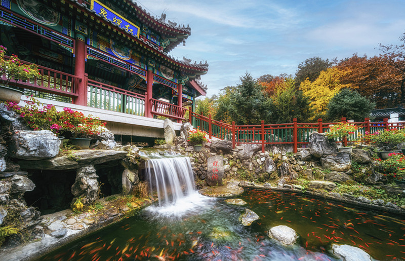 VCG800图.jpg VCG800图.jpg