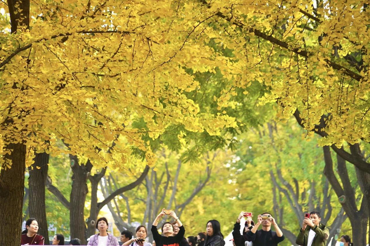 图片3.png 图片3.png