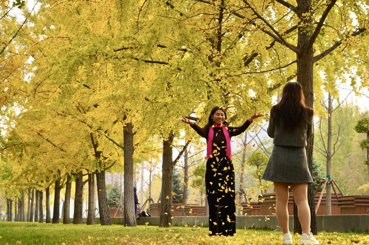 图片4.png 图片4.png