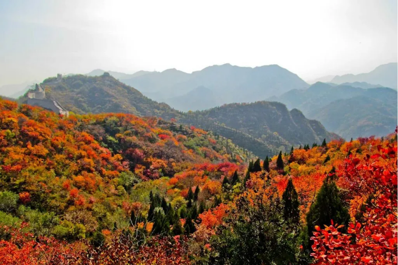 八达岭03 (1).png 八达岭03 (1).png