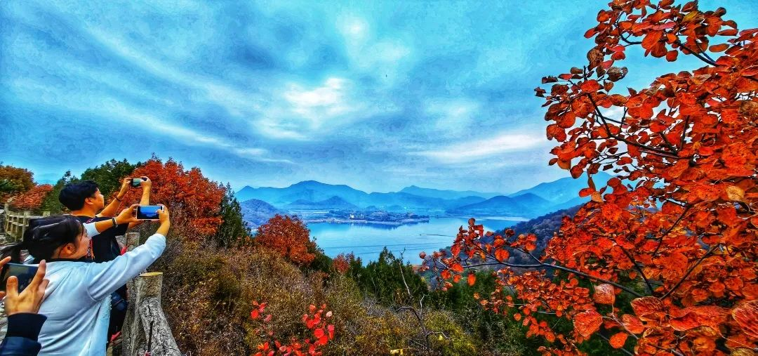 图片2.png 图片2.png