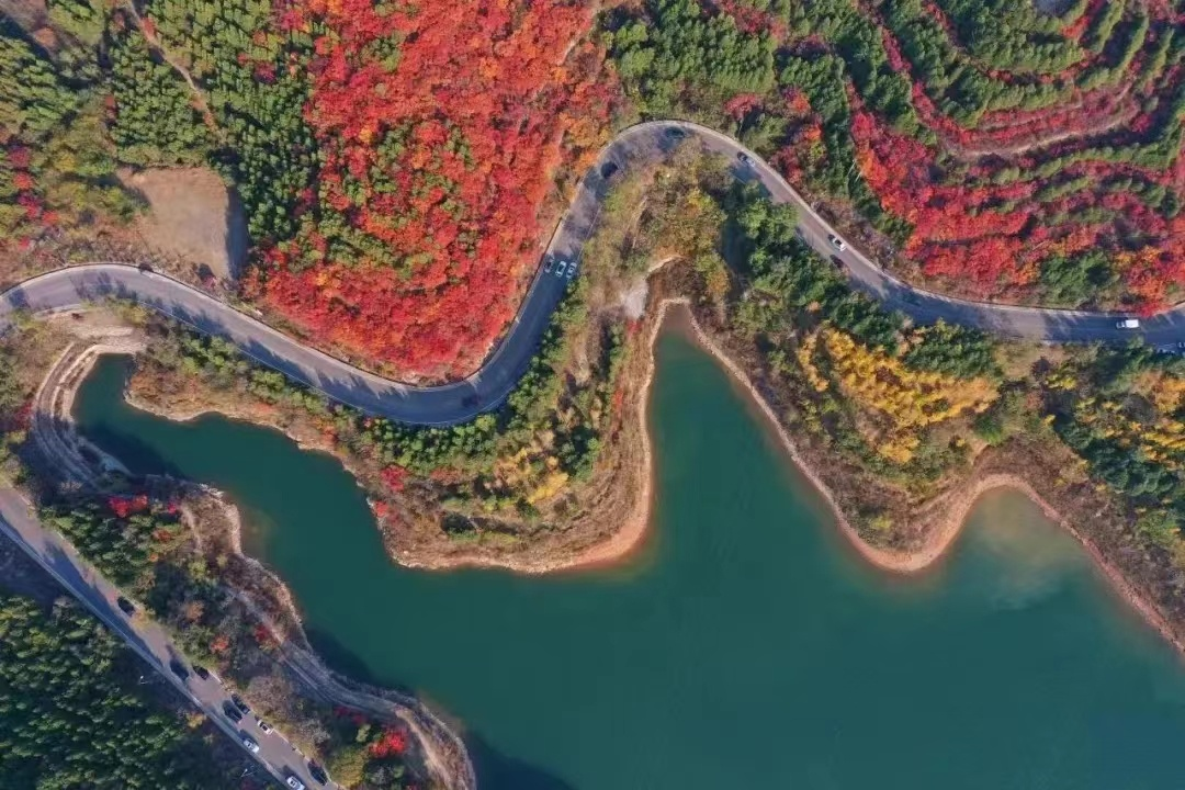 图片4.png 图片4.png