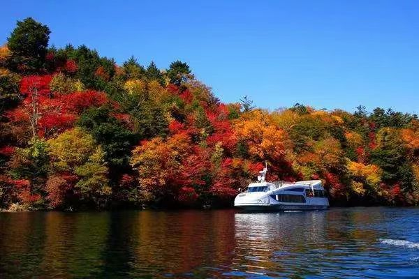 图片3.png 图片3.png