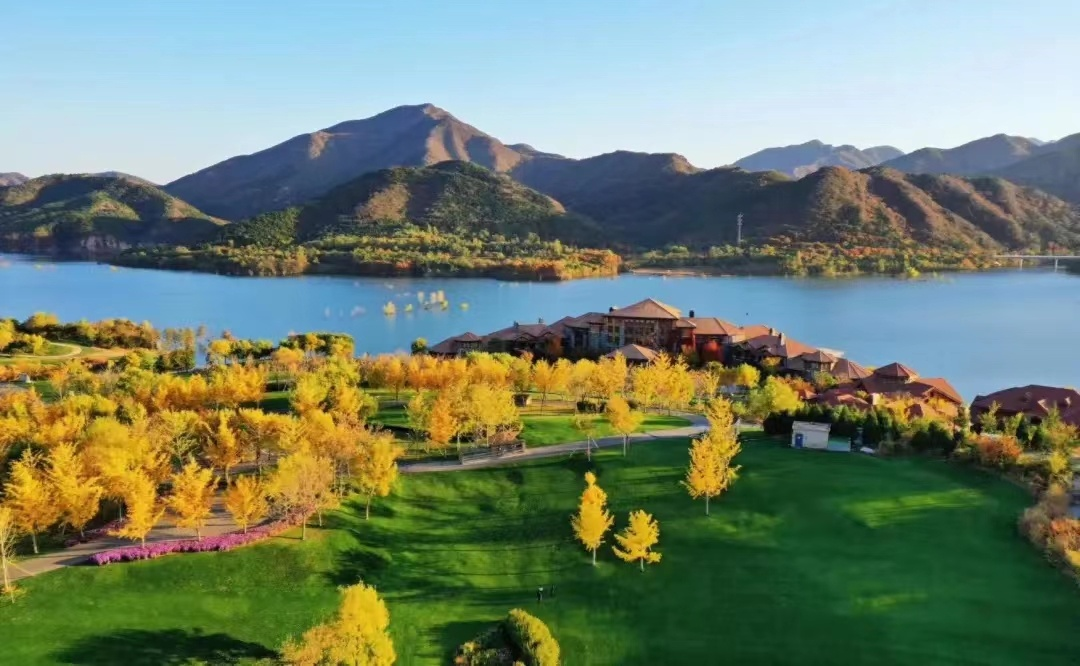 图片5.png 图片5.png