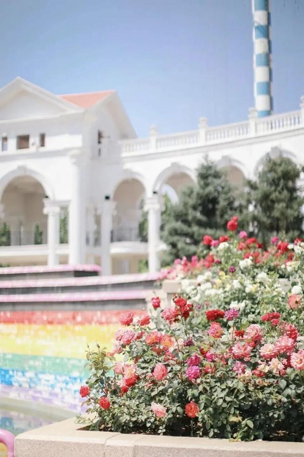 图片5.png 图片5.png