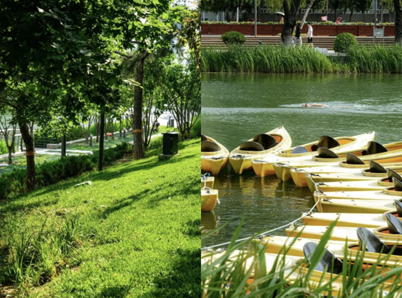 图片6.png 图片6.png