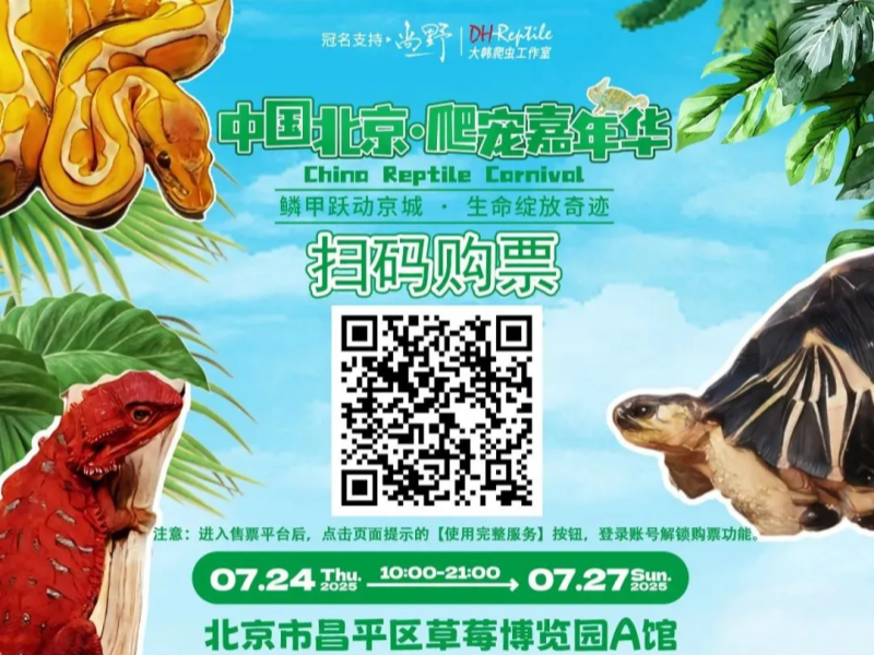 图片1_副本.png