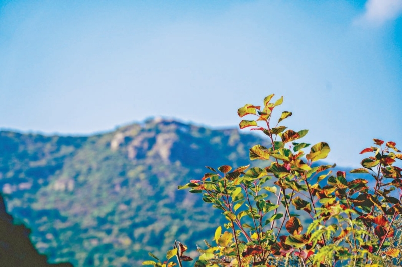 图片1.jpg 图片1.jpg