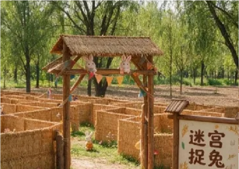 图片12.jpg