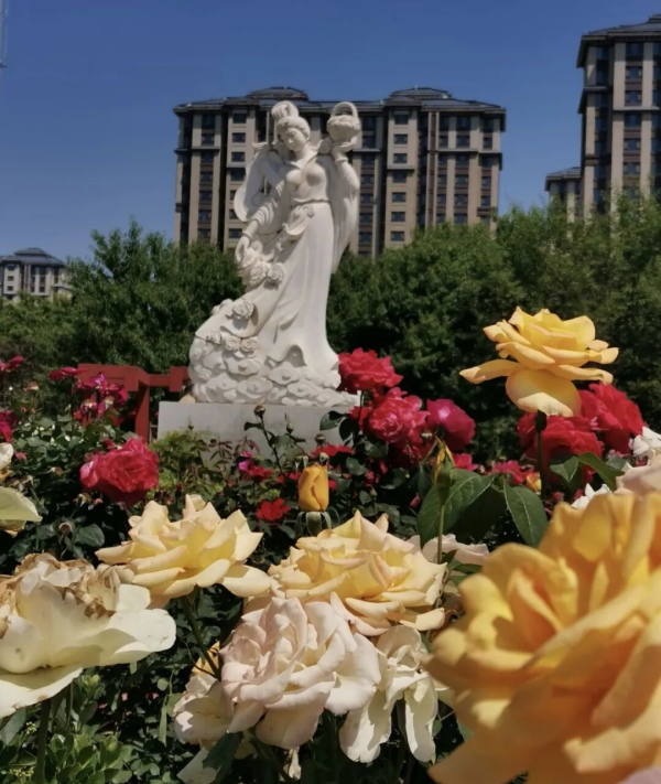 图片8.png